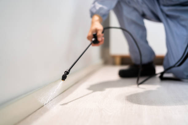Licensed Pest Control service in Carleton, MI - Nex Pest Control