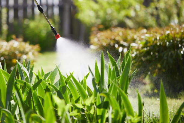 24/7 Emergency Pest Control experts in Carleton, MI