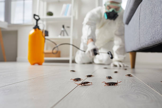Affordable Pest Control solutions in Carleton, MI