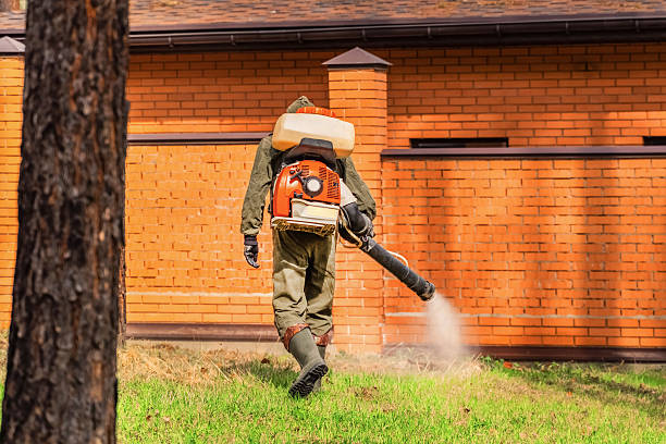 Top rated local Pest Control specialists in Carleton, MI